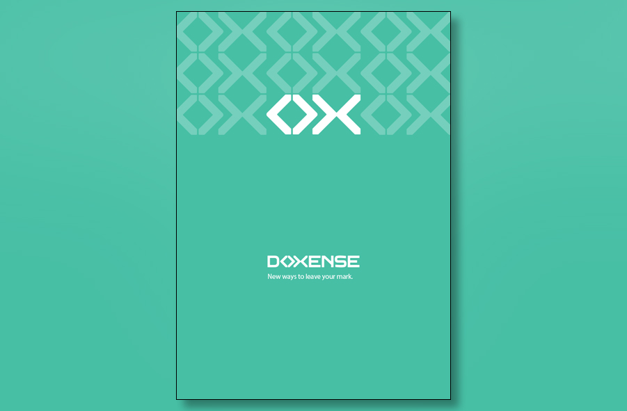 Budget Website Design Riyadh — Doosheh Website Presentation