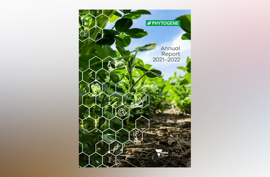 Label Design Riyadh KSA